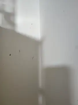 Gaby_Vegaa - OIL IN ASS