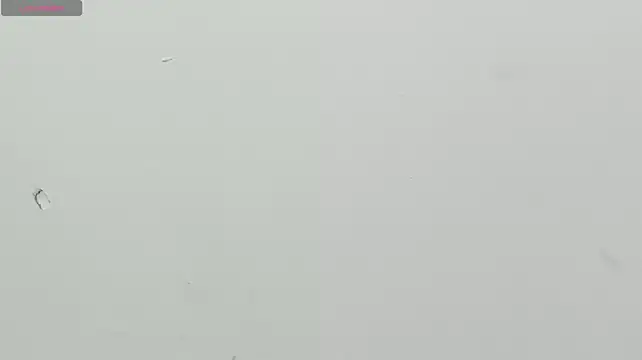 Minniepetite - 🧼Cum show