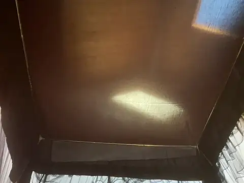 Odbodu - Bounce that fat ass on torso