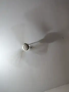 Manasa_