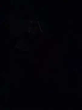Peach47's Live XXX Chat