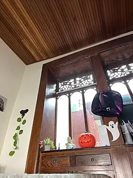 Zaiky_Noiry - Show pussy, rubbing my clit for you