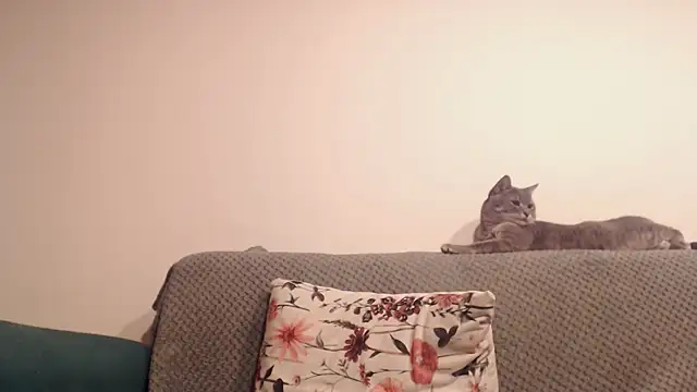 ClaraLollipop - Make me wet! Lovense on! Boobs 100 tkn