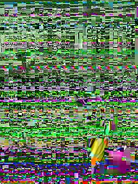 Miss_Groovy - pussy show wide