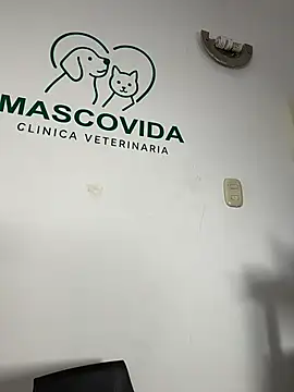 Amy_Cutte__ - the client to the bathroom and blowjob