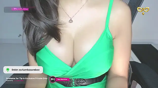 Bosombee - For Better Future