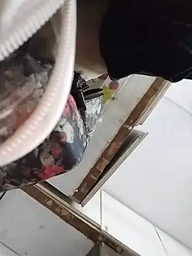 Jann_Riya333