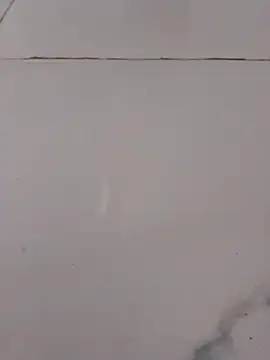 Komal_Bhabhi4u - pussy and ass hole show