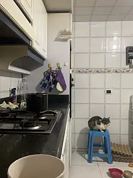 Freya_Artemisa