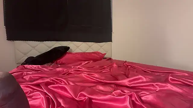 Venetianbarbie - upsidedown wall twerk show