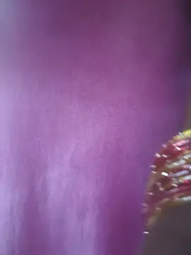 Neelimavennela_Telugu - Boobs show