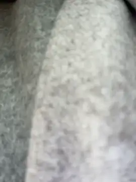 -stray-cat- - slap pussy trough the panties