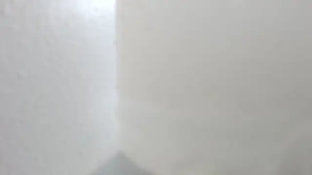Kitty_Mifl - toilet brush for cleaning the vagina