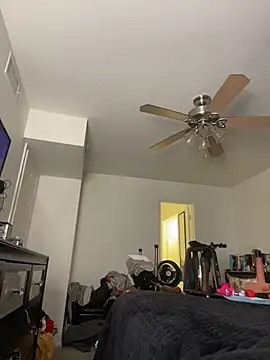 Reecieofficial - Cum Show/Squirt Show