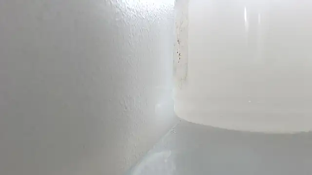 Kitty_Mifl - toilet brush for cleaning the vagina