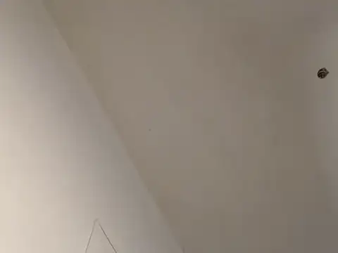 Eboni_hotboobs_ - anal
