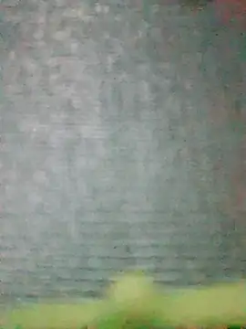 Priya_Bong
