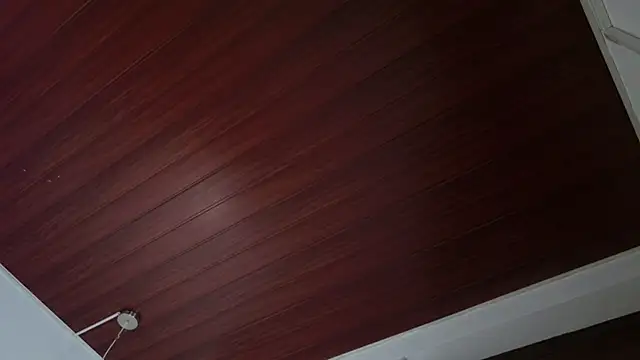 Sharon_wiild - Ride my BIG anal toy 🍆🍑🥵