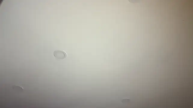 Nyx_Savage