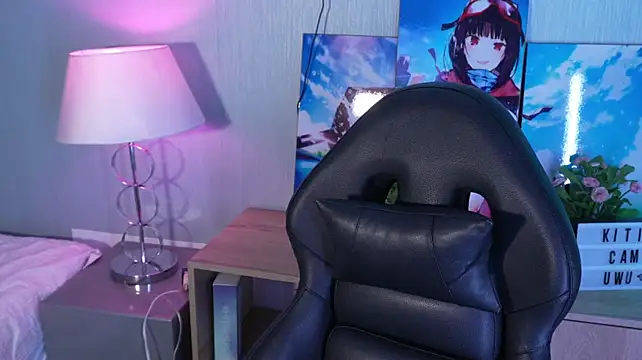 Kitticam