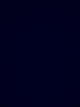 Flor_feniz - Anal