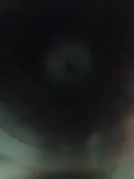 Gatitachula93