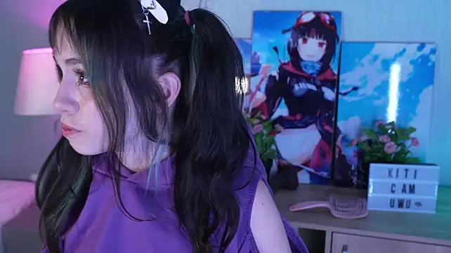 Kitticam