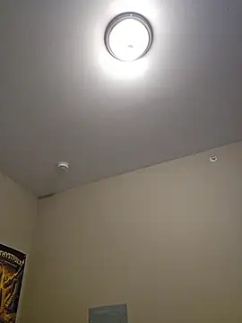 AmethystFoxx - Reverse cowgirl + plug