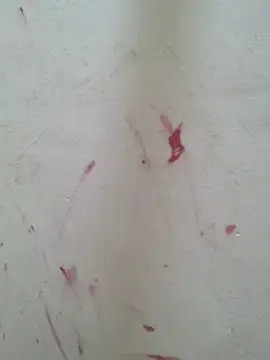 Cute_Kavya7
