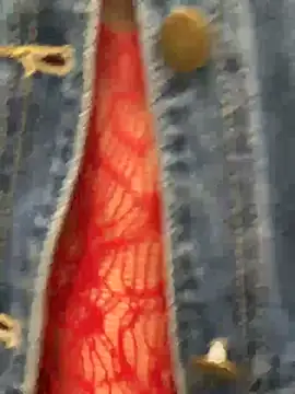 Hatasimi - Riding a dildo