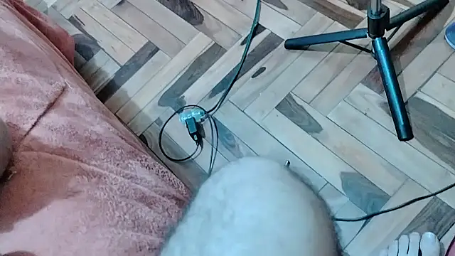 Mindymiaw - meter dildo por el culo