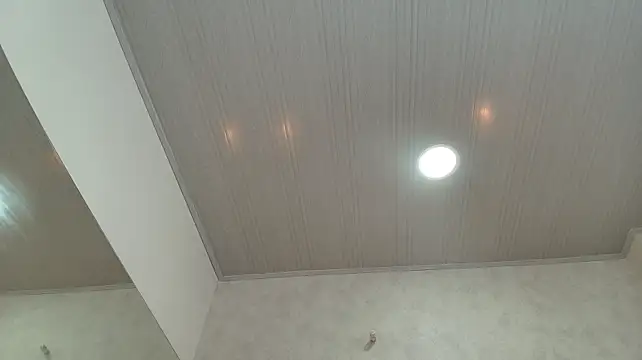 Sara_melo1 - show tits acaeite