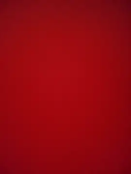 Sushmita_Love143 - Pussy