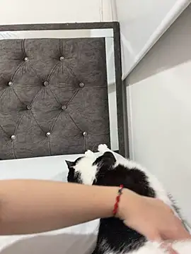Daniela_ruizz - Finger an plug in ass