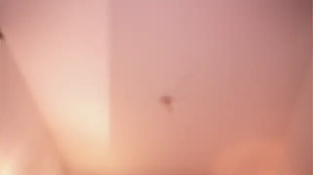 Soidai_miiu - swallow dildo 23 cm full 😈