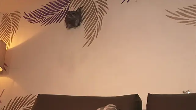 Justnala_ - 👅Messy Blowjob👅