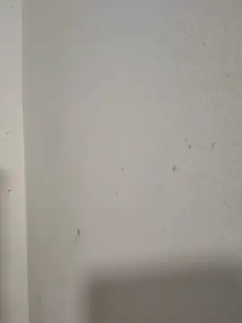 Gaby_Vegaa - Clap Ass