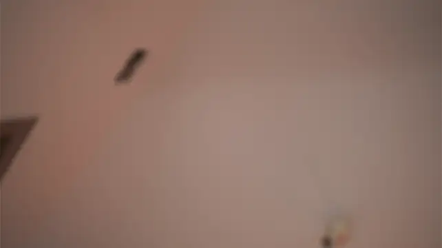 Abbela_White - Squirt