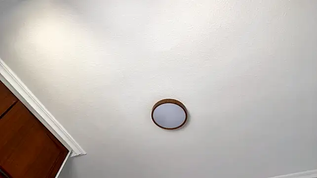 RoseDiebol