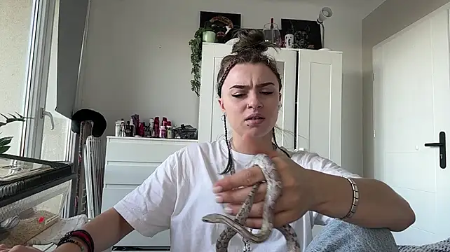 DaciaBones - Wish me a good stream