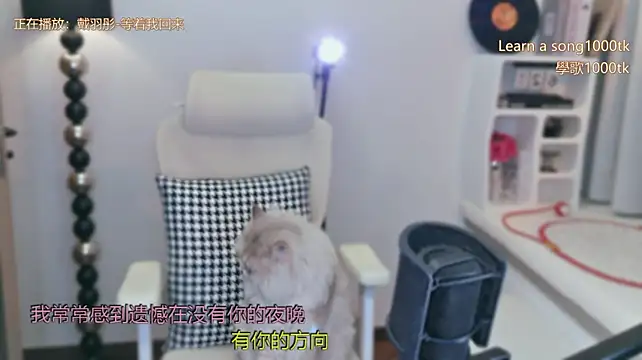 Babykitty- - 哈哈哈哈哈，真的觉得好好笑而已