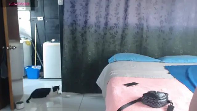Miia-big1boobs_ - 🧿FLASH BIG TITS NATURAL🧿