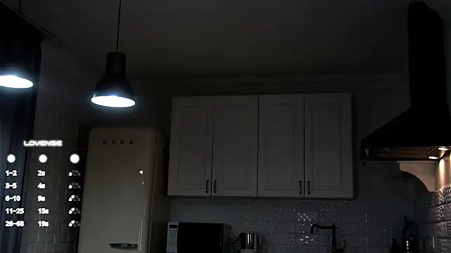 HolyNaomi