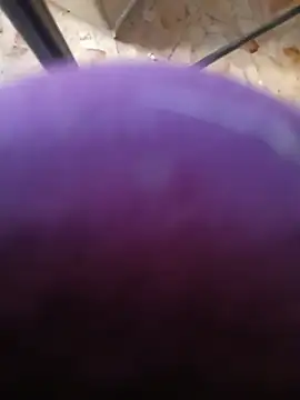 Gatitachula93