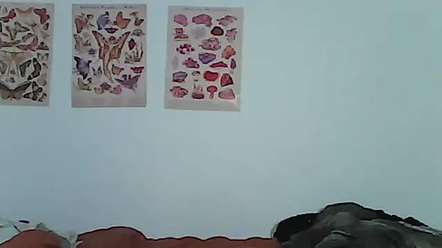 Owly_bloom - suck dildo