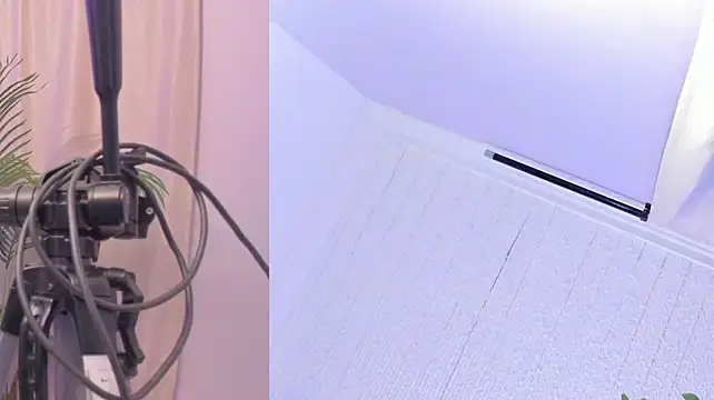 Kate_bunny_ - full power control 1 min + milk