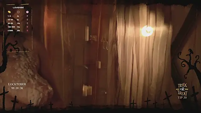 VortexProject