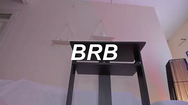 Secret_chells