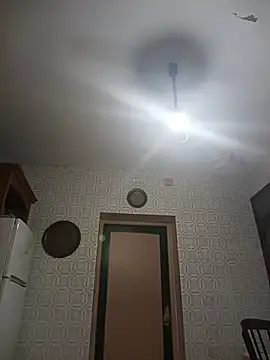 HAIRY_PUSSY_BIG - FLASH HAIRY ASSHOLE