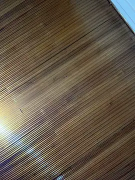 Emily_Gomezz - Lush in ass+ control 3 mi